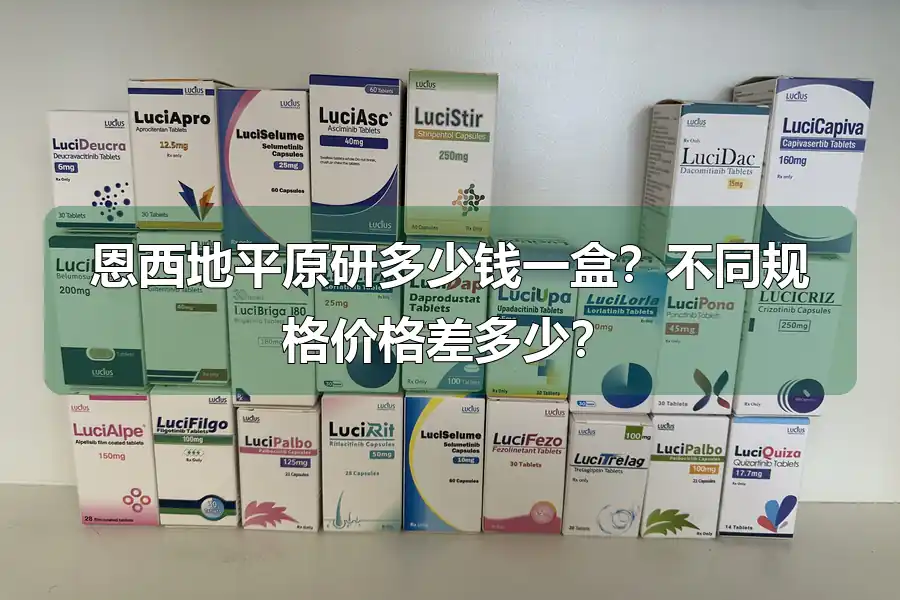 恩西地平原研多少钱一盒？不同规格价格差多少？